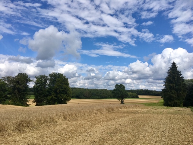 Agrarlandschaft Schorn